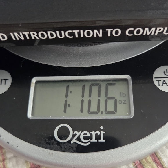 David Reed Black Computer Science Book - Picture 7 of 7